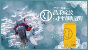 AFC RICH 葉黃素