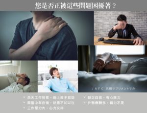 AFC宇勝淺山 究極力達S錠狀食品